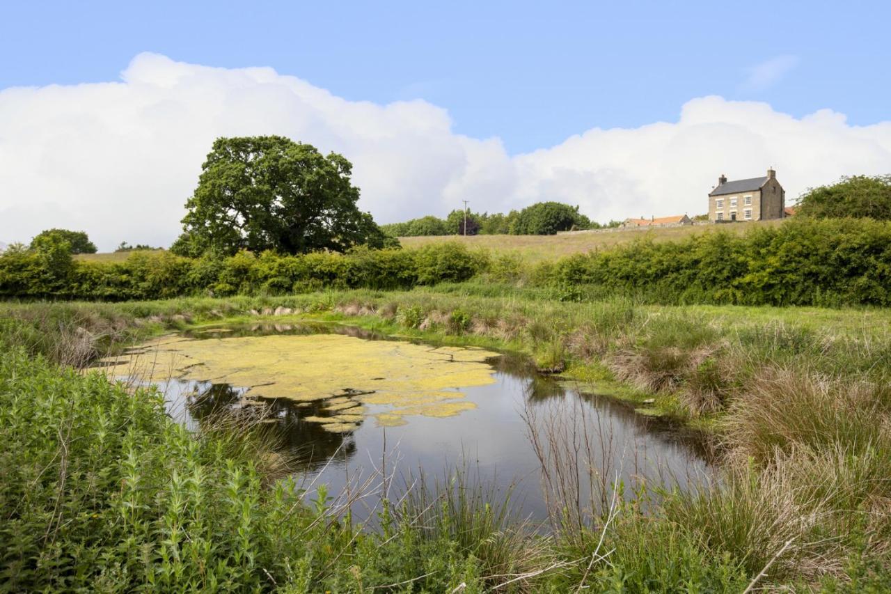 Thirley Cotes Farm Cottages スカーバラ エクステリア 写真